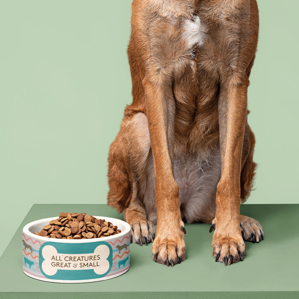 All Creatures Great and Small - Dog Pattern Pet Bowl