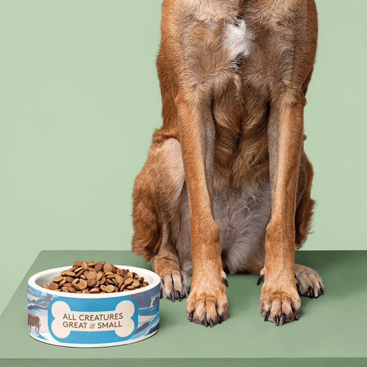 All Creatures Great and Small - Winter in Darrowby Pet Bowl