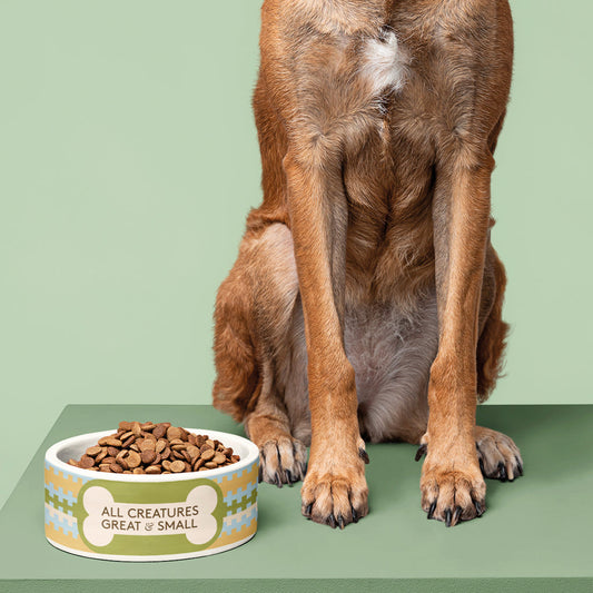 All Creatures Great and Small - Fence Pattern Pet Bowl