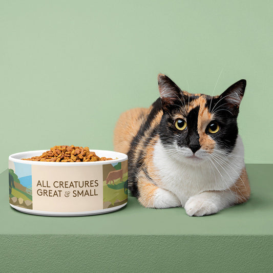 All Creatures Great and Small - Farmyard Animals Pet Bowl