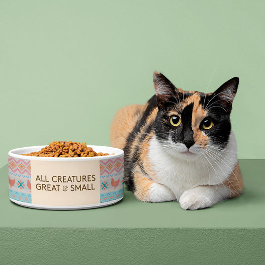 All Creatures Great and Small - Chicken Pattern Pet Bowl