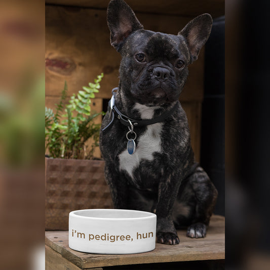 I'm Pedigree, hun Pet Bowl