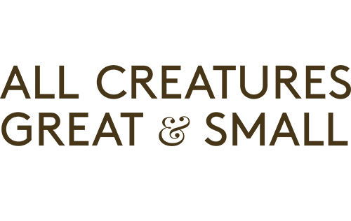 All Creatures Great and Small Online Shop