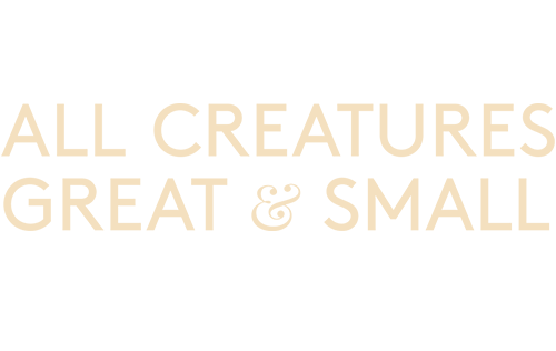 All Creatures Great and Small Online Shop